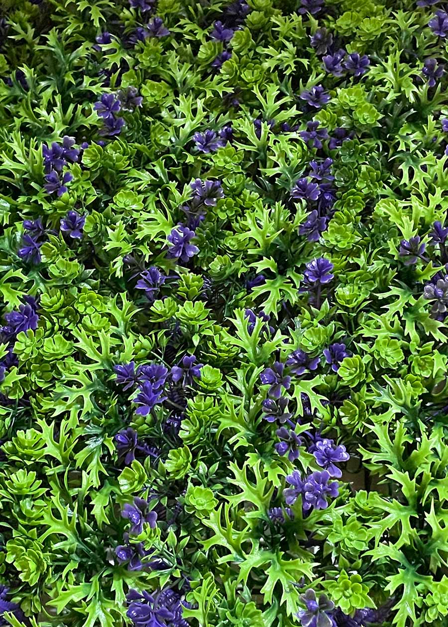 green leaves with purple flowers